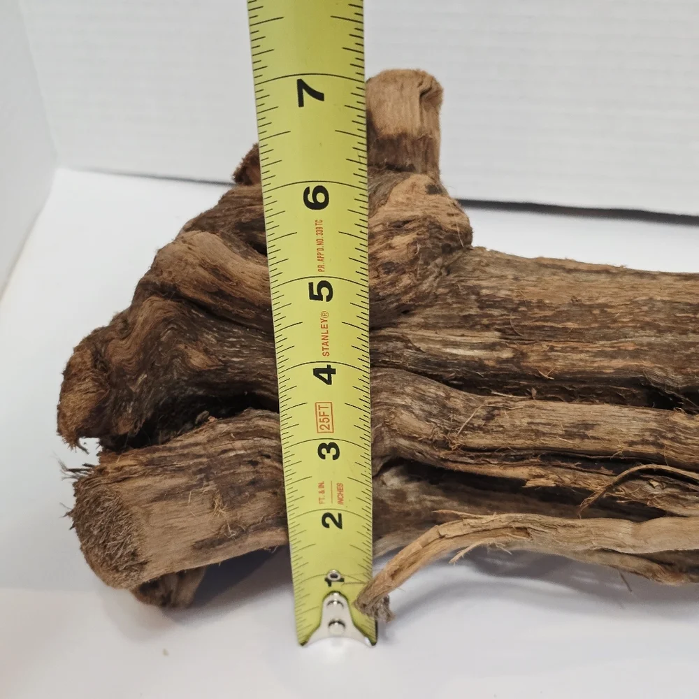 All Living Things Reptile Driftwood
